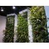 经典墙体绿化，立体绿化施工