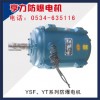 YSF、YT系列防爆电机